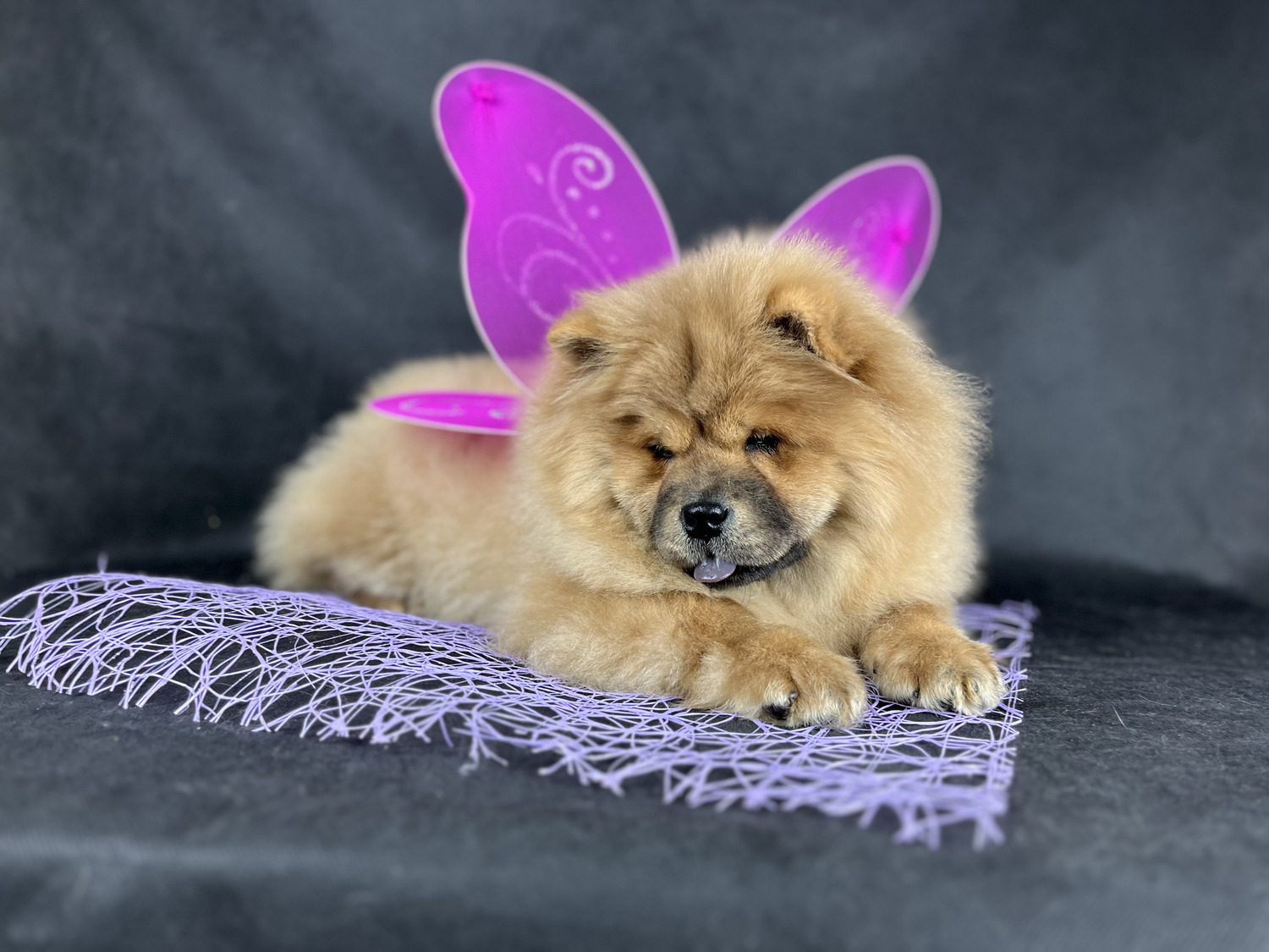 Оллис&nbsp;