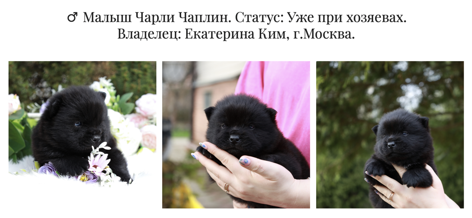 Чарли&nbsp;