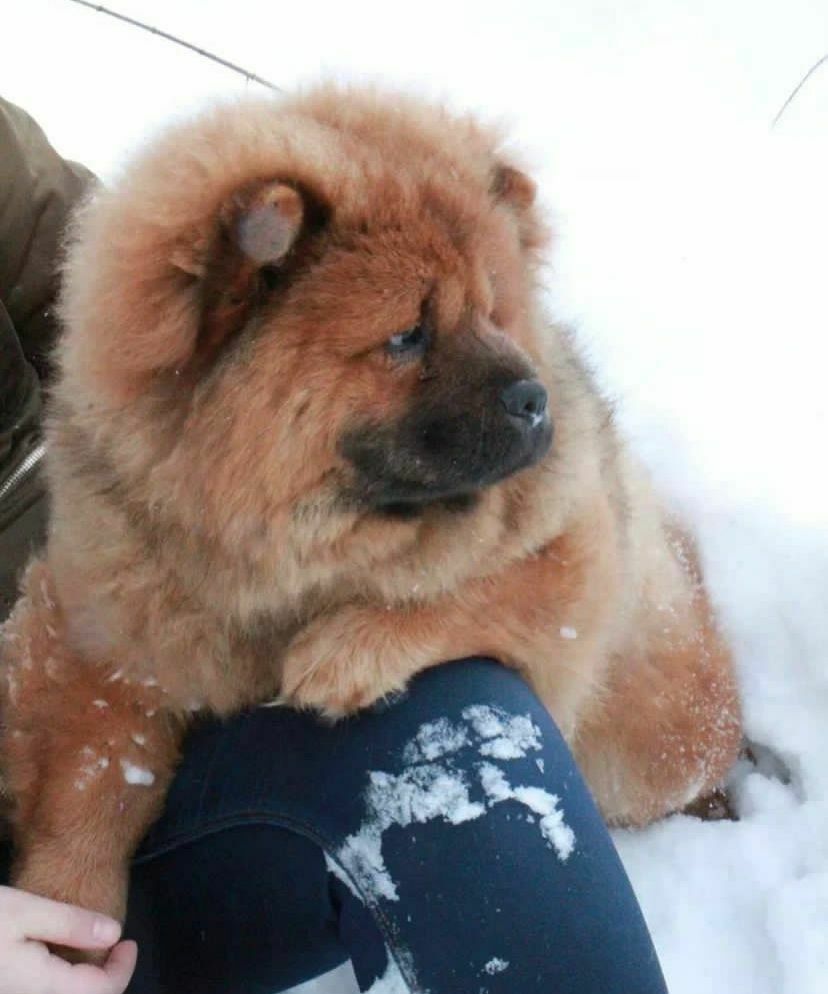 Глюкоза&nbsp;